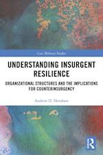 Understanding Insurgent Resilience