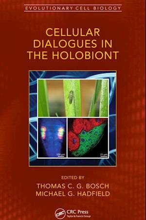 Cellular Dialogues in the Holobiont