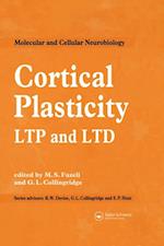 Cortical Plasticity