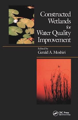 Constructed Wetlands for Water Quality Improvement