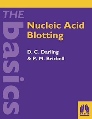 Nucleic Acid Blotting