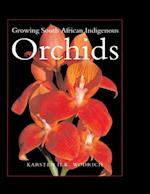 Growing South African Indigenous Orchids