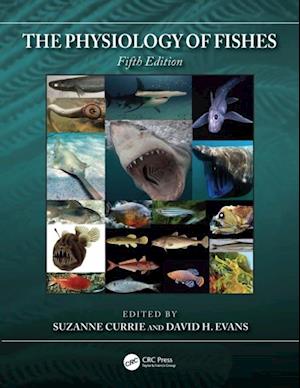 Physiology of Fishes