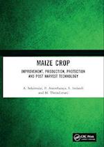 Maize Crop