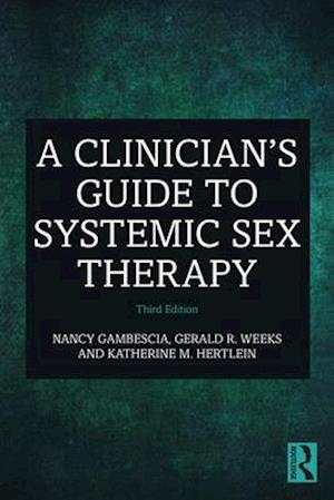 A Clinician''s Guide to Systemic Sex Therapy