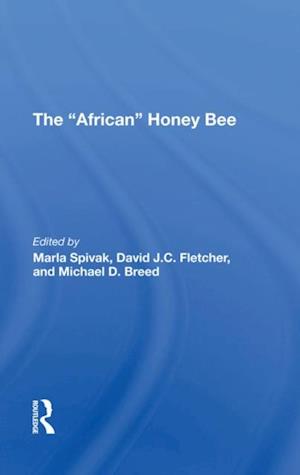 african Honey Bee