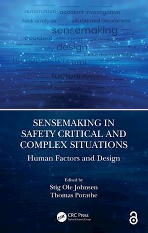 Sensemaking in Safety Critical and Complex Situations