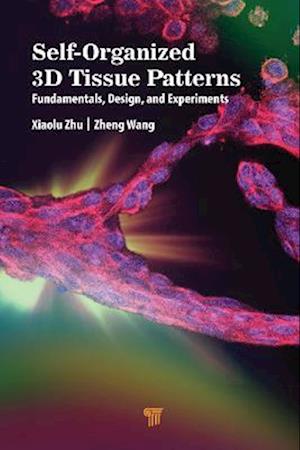 Self-Organized 3D Tissue Patterns