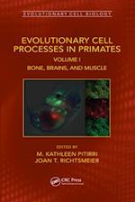 Evolutionary Cell Processes in Primates