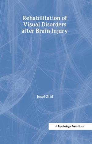 Rehabilitation of Visual Disorders After Brain Injury