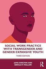 Social Work Practice with Transgender and Gender Expansive Youth