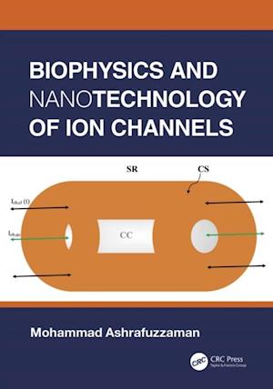 Biophysics and Nanotechnology of Ion Channels