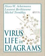 Virus Life in Diagrams