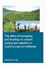 effect of harvesting and flooding on nutrient cycling and retention in Cyperus papyrus wetlands