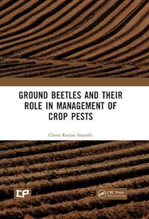 Ground Beetles and Their Role in Management of Crop Pests
