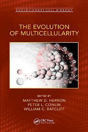 Evolution of Multicellularity