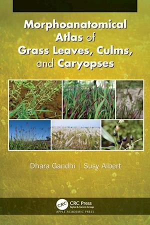 Morphoanatomical Atlas of Grass Leaves, Culms, and Caryopses