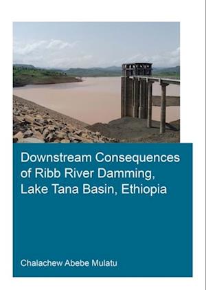 Downstream Consequences of Ribb River Damming, Lake Tana Basin, Ethiopia