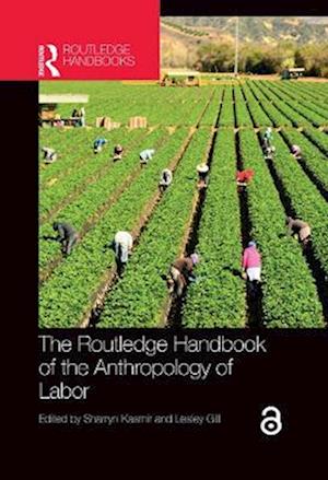 Routledge Handbook of the Anthropology of Labor