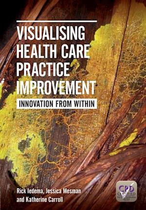 Visualising Health Care Practice Improvement