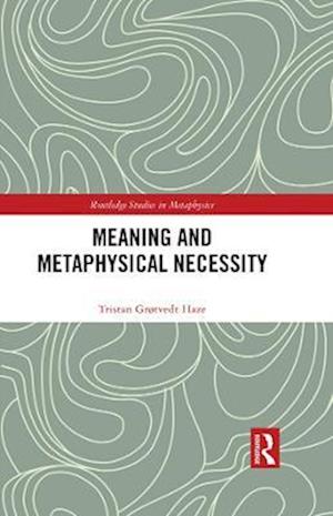 Meaning and Metaphysical Necessity