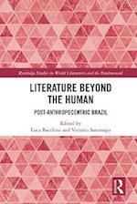 Literature Beyond the Human