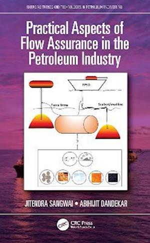 Practical Aspects of Flow Assurance in the Petroleum Industry