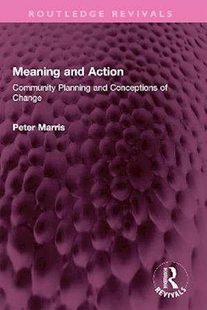 Meaning and Action