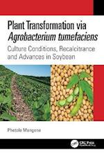 Plant Transformation via Agrobacterium Tumefaciens