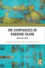 Chimpanzees of Rubondo Island