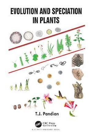 Evolution and Speciation in Plants