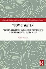 Slow Disaster