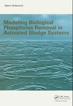 Modeling Biological Phosphorus Removal in Activated Sludge Systems