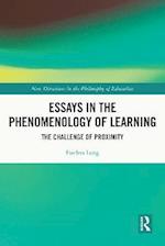 Essays in the Phenomenology of Learning
