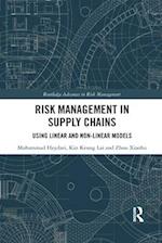 Risk Management in Supply Chains