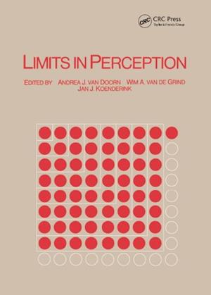 Limits in Perception