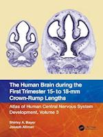 Human Brain during the First Trimester 15- to 18-mm Crown-Rump Lengths