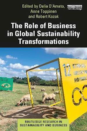 The Role of Business in Global Sustainability Transformations