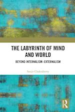 Labyrinth of Mind and World