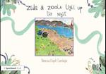 Zedie and Zoola Light Up the Night: A Storybook to Help Children Learn About Communication Differences
