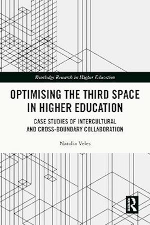 Optimising the Third Space in Higher Education