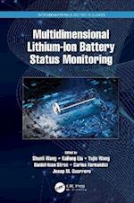 Multidimensional Lithium-Ion Battery Status Monitoring