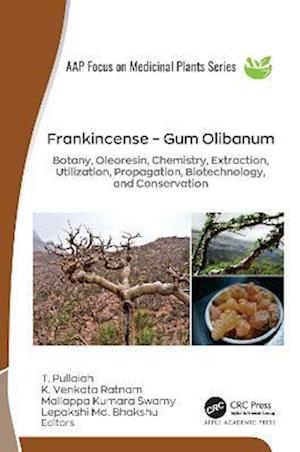 Frankincense – Gum Olibanum