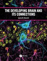 Developing Brain and its Connections