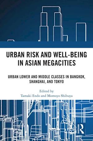 Urban Risk and Well-being in Asian Megacities