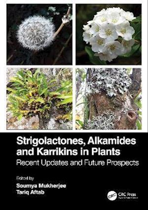 Strigolactones, Alkamides and Karrikins in Plants