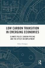 Low Carbon Transition in Emerging Economies