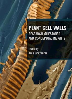 Plant Cell Walls