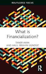 What is Financialization?