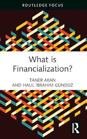 What is Financialization?